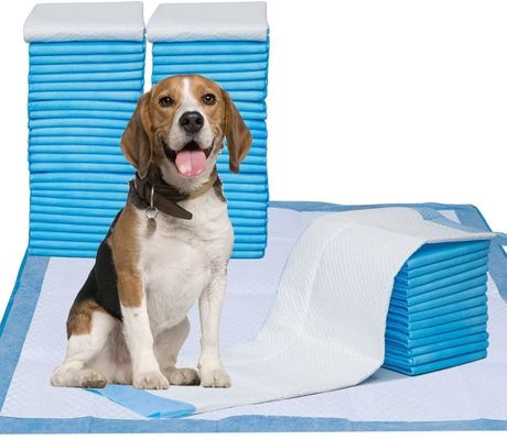 pannolino impermeabile del cucciolo di 45*50cm che prepara l'urina eliminabile Pee For Dog Padding dell'animale domestico